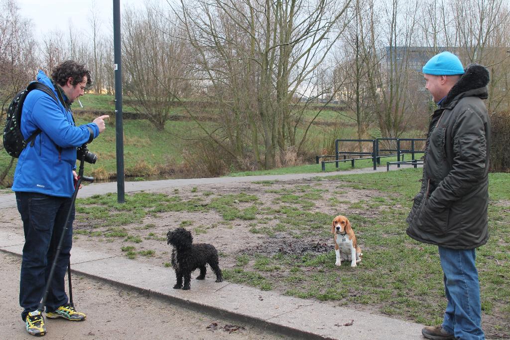 De hondenspeelweide met rechts de remhekken  Foto: Annet van den Akker 